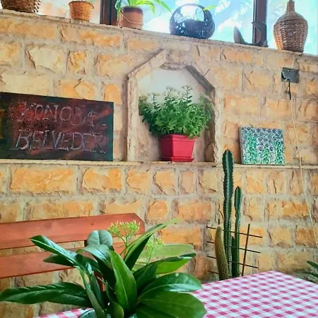 Homestay Adriatica